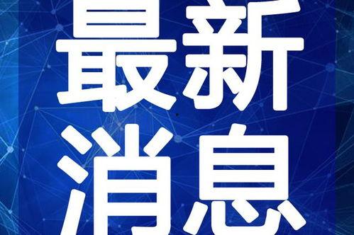 仙剑八卦爆料视频大全最新,最新视频大全深度解析