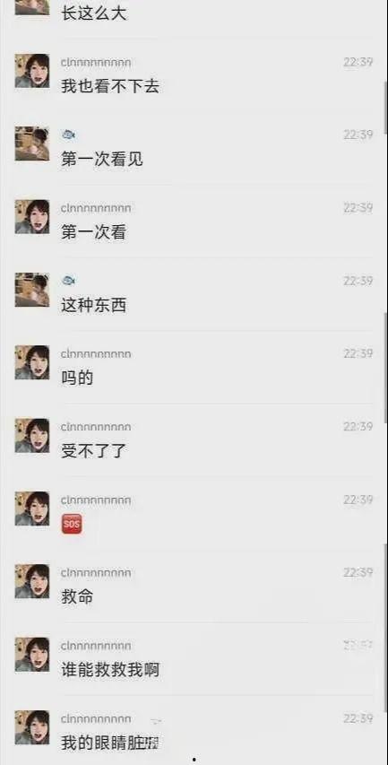 大瓜最新爆料视频,揭秘惊人内幕，真相令人震惊！