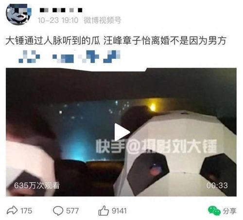 大锤最新爆料消息视频,揭秘视频背后的惊人真相