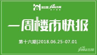 石家庄最新爆料新闻,揭秘某重大事件背后真相