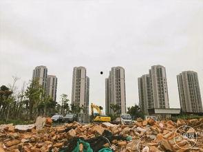 拆迁爆料厦门最新消息视频,揭秘视频爆料背后的真相